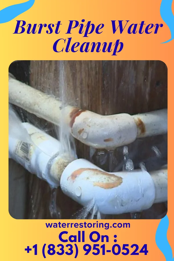Burst Pipe Water Cleanup in La Paloma-Lost Creek, TX