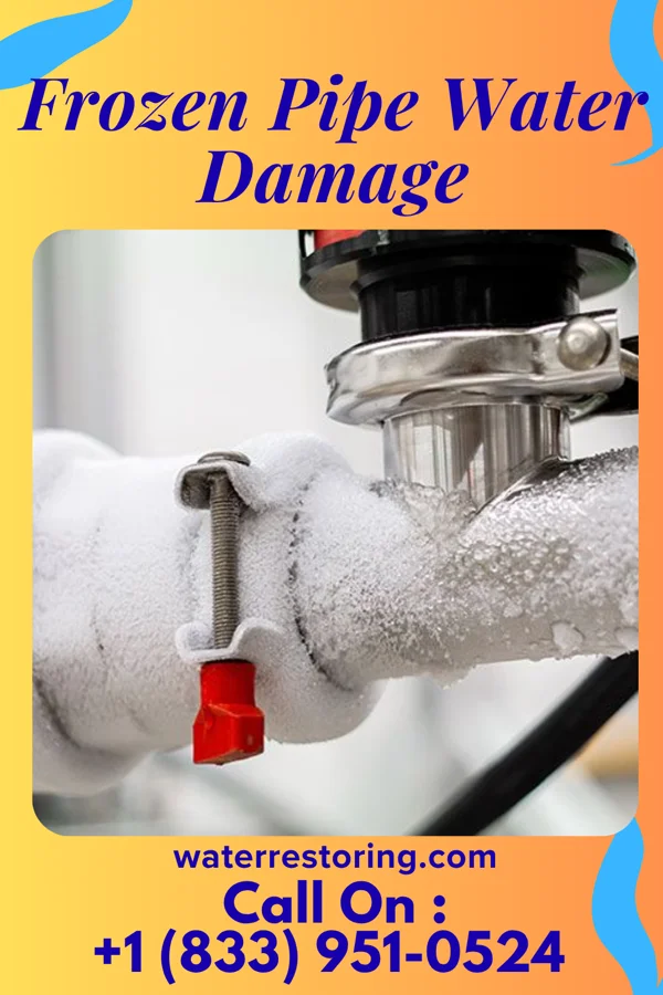 Frozen Pipe Water Damage in La Paloma-Lost Creek, TX