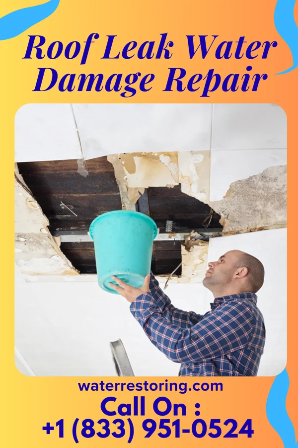 Roof Leak Water Damage Repair in La Paloma-Lost Creek, TX